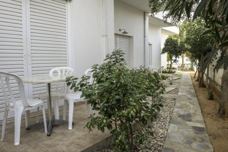 Sifis Studios - 18