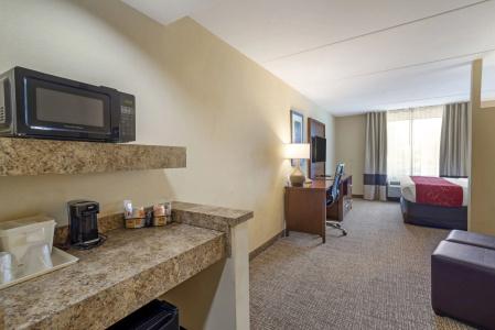 Comfort Suites North - 5