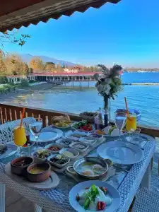 Sasa Harmanlık - 33