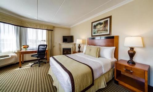Monte Carlo Inn - 49