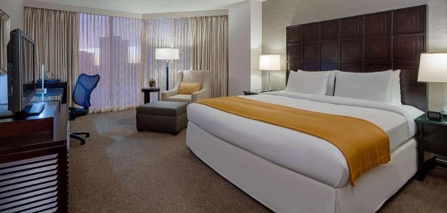 DoubleTree by Hilton Houston Greenway Plaza - 50