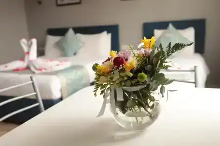 White Pearl Apart - 100
