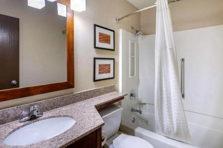 Comfort Inn Nashville West - 43