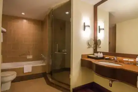 Angkor Palace Resort & Spa - 93