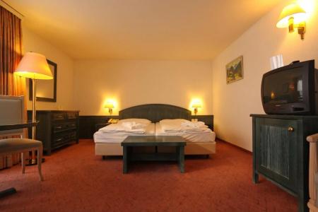 Central Swiss Quality Sporthotel - 10