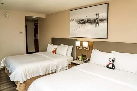Hampton Inn San Francisco Downtown/Convention Center - 56