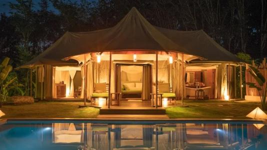 9 Hornbills Tented Camp - Sha Plus - 78