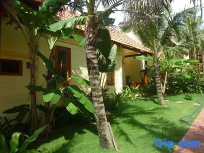 Free Beach Resort - 39