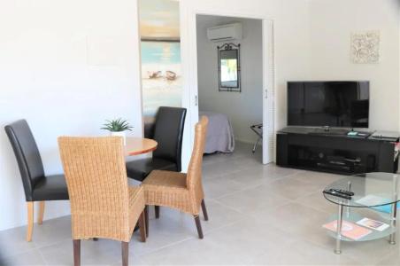 Noosa River Palms - 128