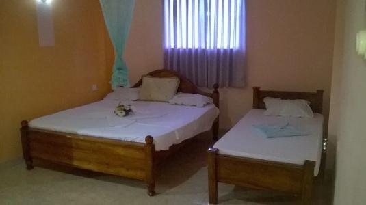 Papaa Palace - 2