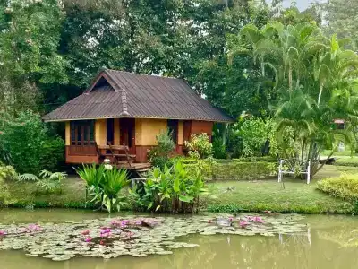 Pura Vida - 23