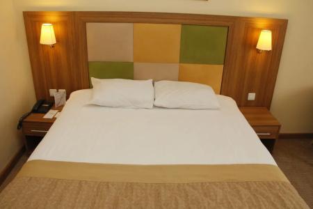 Palan Ski & Convention Resort - 37