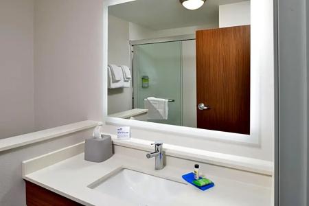 Holiday Inn Express Orlando - South Park, An Ihg - 115