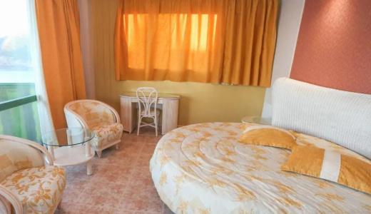 Kaktus Albir - 118