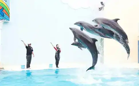 Kobe Plaza - 24