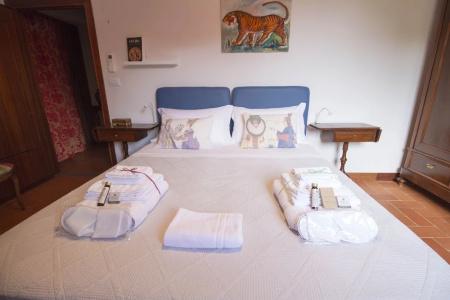 b&b Palazzi - 16