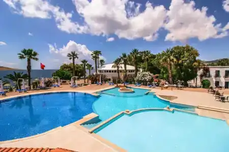 Club Muskebi - 31