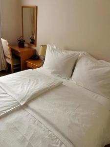 Vila Bled - 50