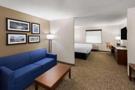 Microtel Inn & Suites by Wyndham College Station - 101