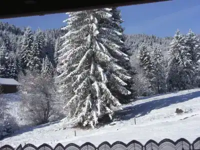 Schwarzwald ApartKräutle - 27