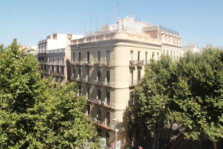 Som Nit Triomf - 0