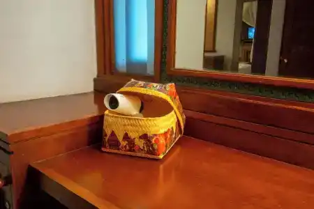 Alam Puri Art Museum Resort & Spa - 19