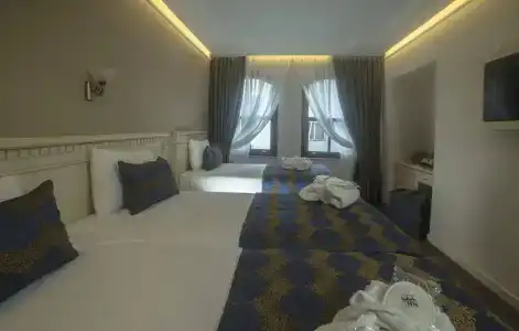 Sarnic & Sarnic Premier(Ottoman Mansion) - 48
