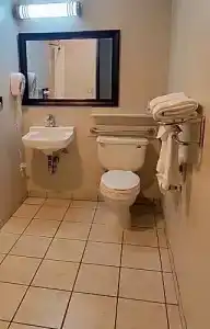 Comfort Inn Yosemite Area - 48