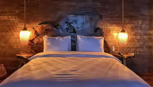 Sasa Harmanlık - 20