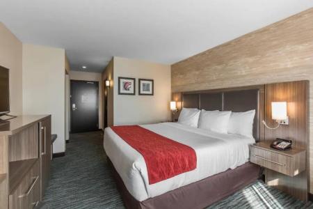 Comfort Inn & Suites Airport North - 32