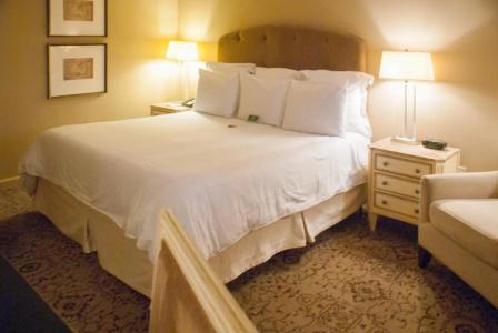 Dauphine Orleans - 3