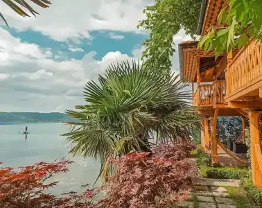 Sasa Harmanlık - 7