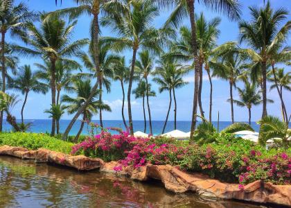 Ho'olei at Grand, A Waldorf Astoria - 13