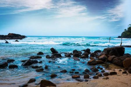 Surf Sea Breeze - 72