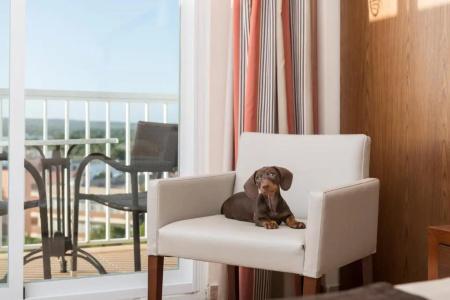 Torre Azul & Spa - Adults Only - 69