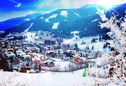 Ortners Eschenhof - Alpine Slowness - 20