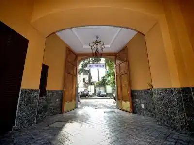 Barbato - 15