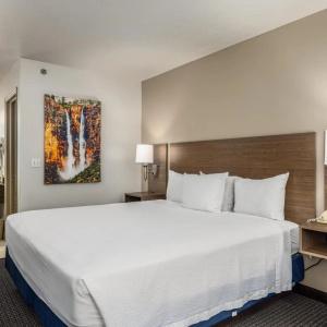 St. George Inn and Suites - 39