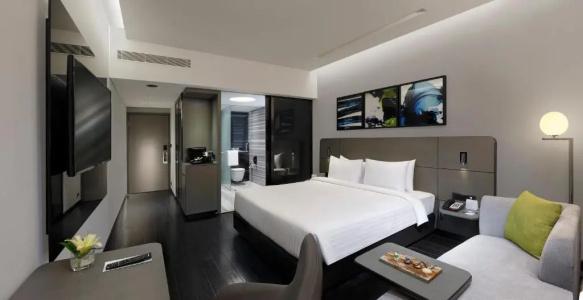 Novotel Chennai Chamiers Road - 44