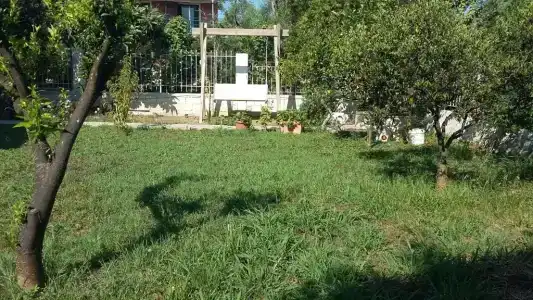 Elena's Garden - 30