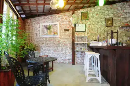 Khon Kaen Orchid - 13
