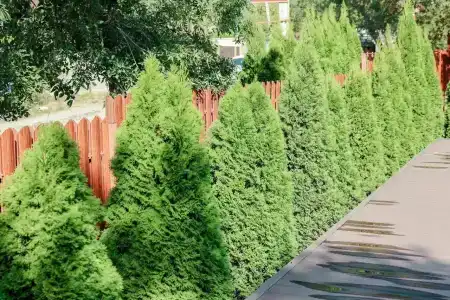 Гостевой дом на ул Голубая бухта 6а - 14