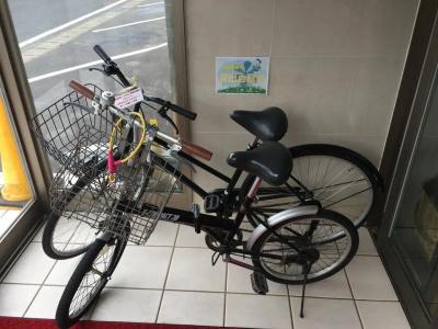 Saga Idaimae Green - 10