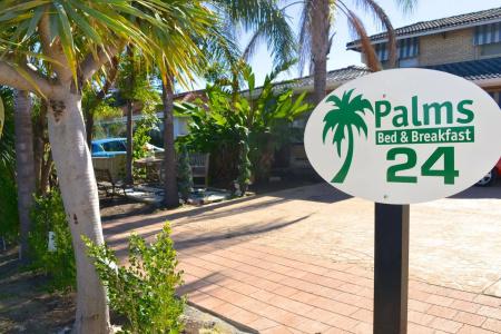 Palms - 14