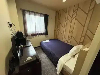 Livemax-Ekimae - 30