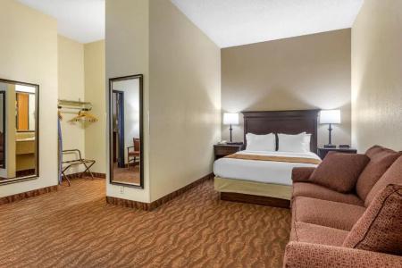 Comfort Inn at Thousand Hills - 72