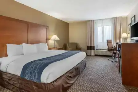 Comfort Inn South - 28