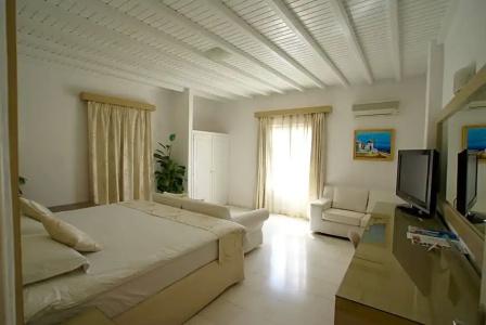 Dionysos Luxury Mykonos - 108