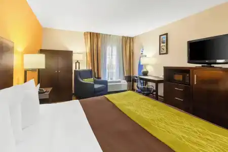 Comfort Inn 290/Nw - 57
