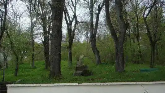 Кечи - 12